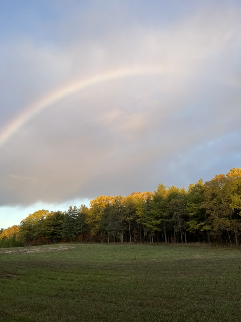 A rainbow arcing over the autumn treeline at the edge of the meadow