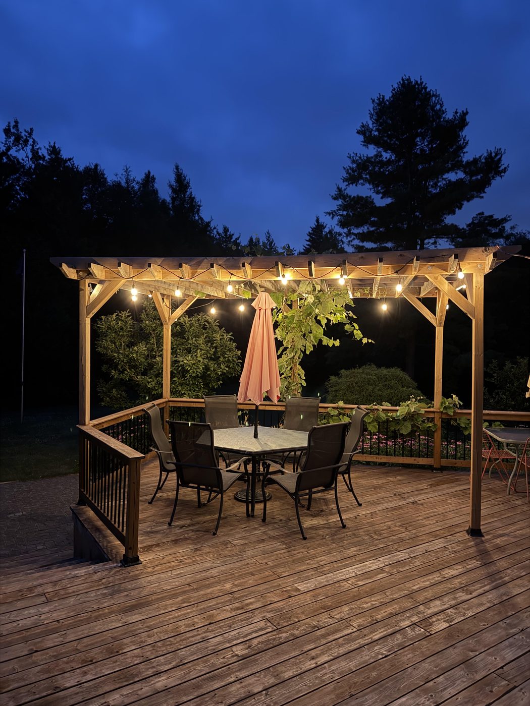 The deck pergola lit with string lights at blue hour, table grapes trained overhead