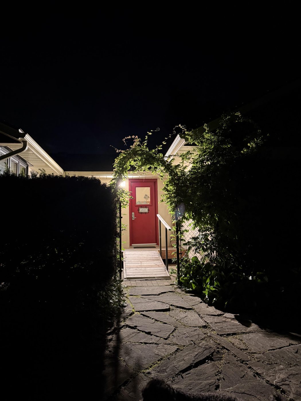 The back door lit at night beneath a climbing vine, flagstone path leading up to it