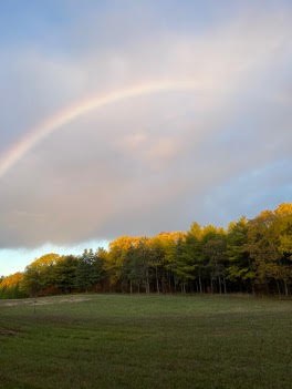 A rainbow arcing over the autumn treeline at the edge of the meadow