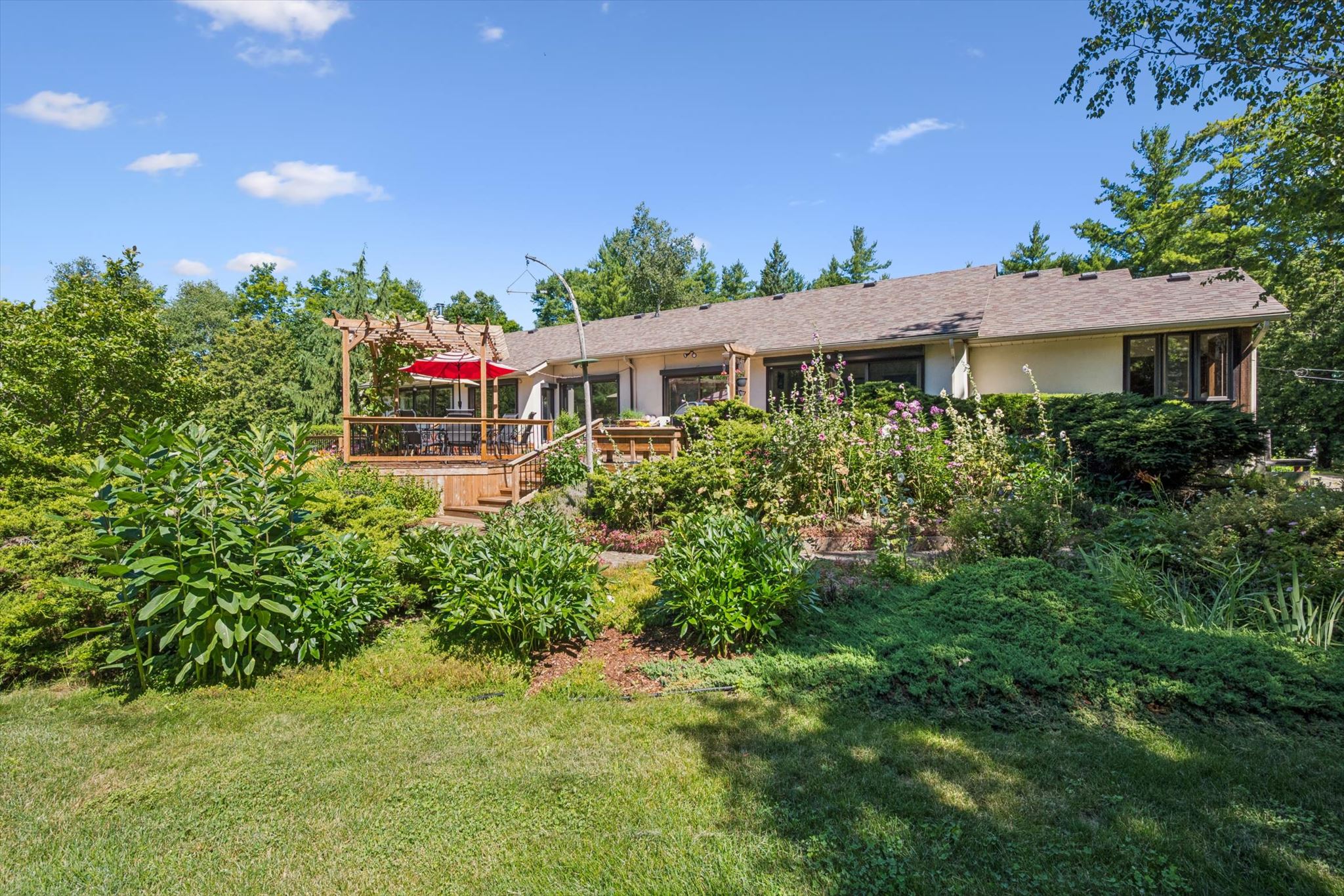 The house from the lawn