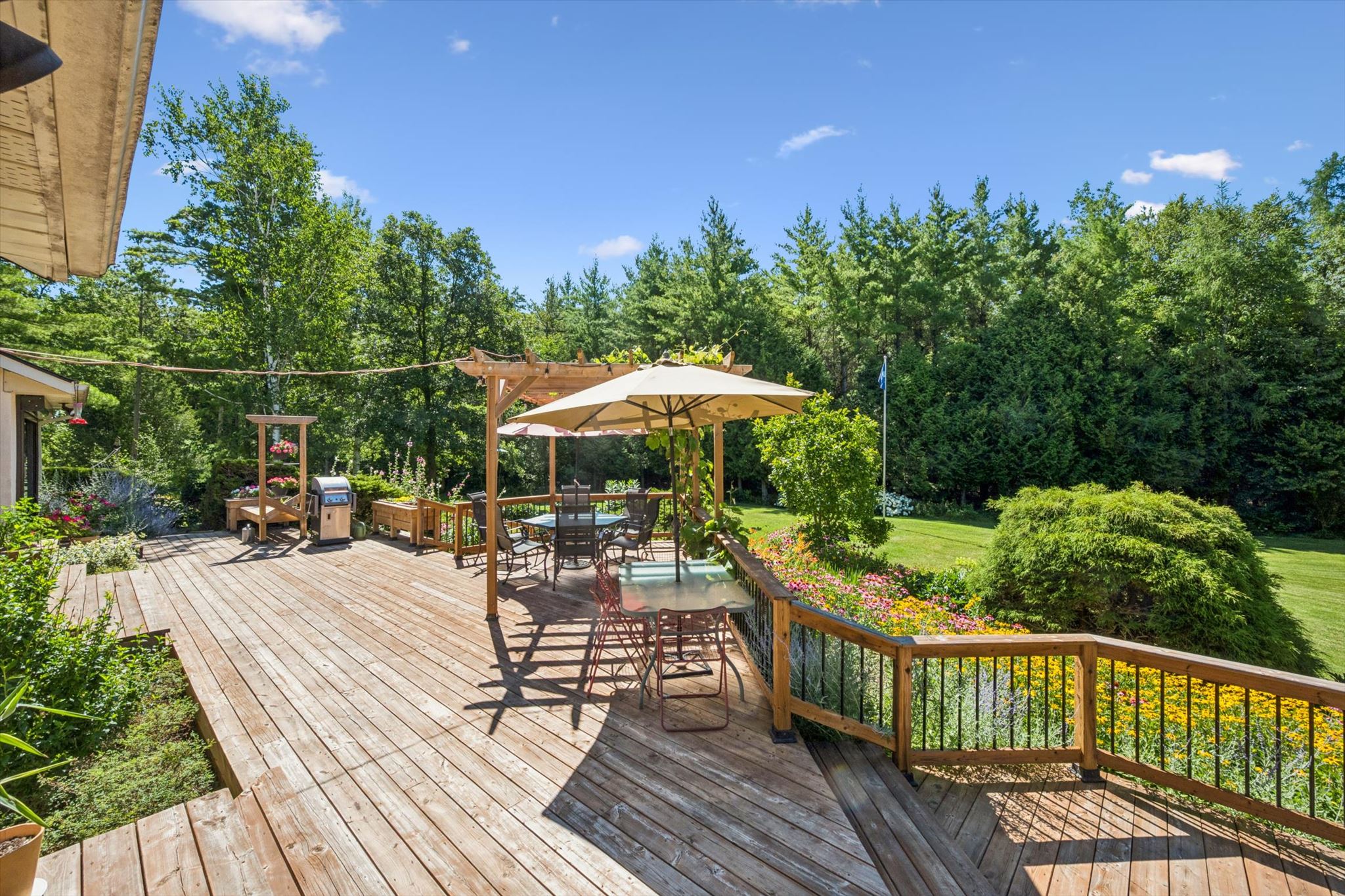 Deck, borders and lawn beyond