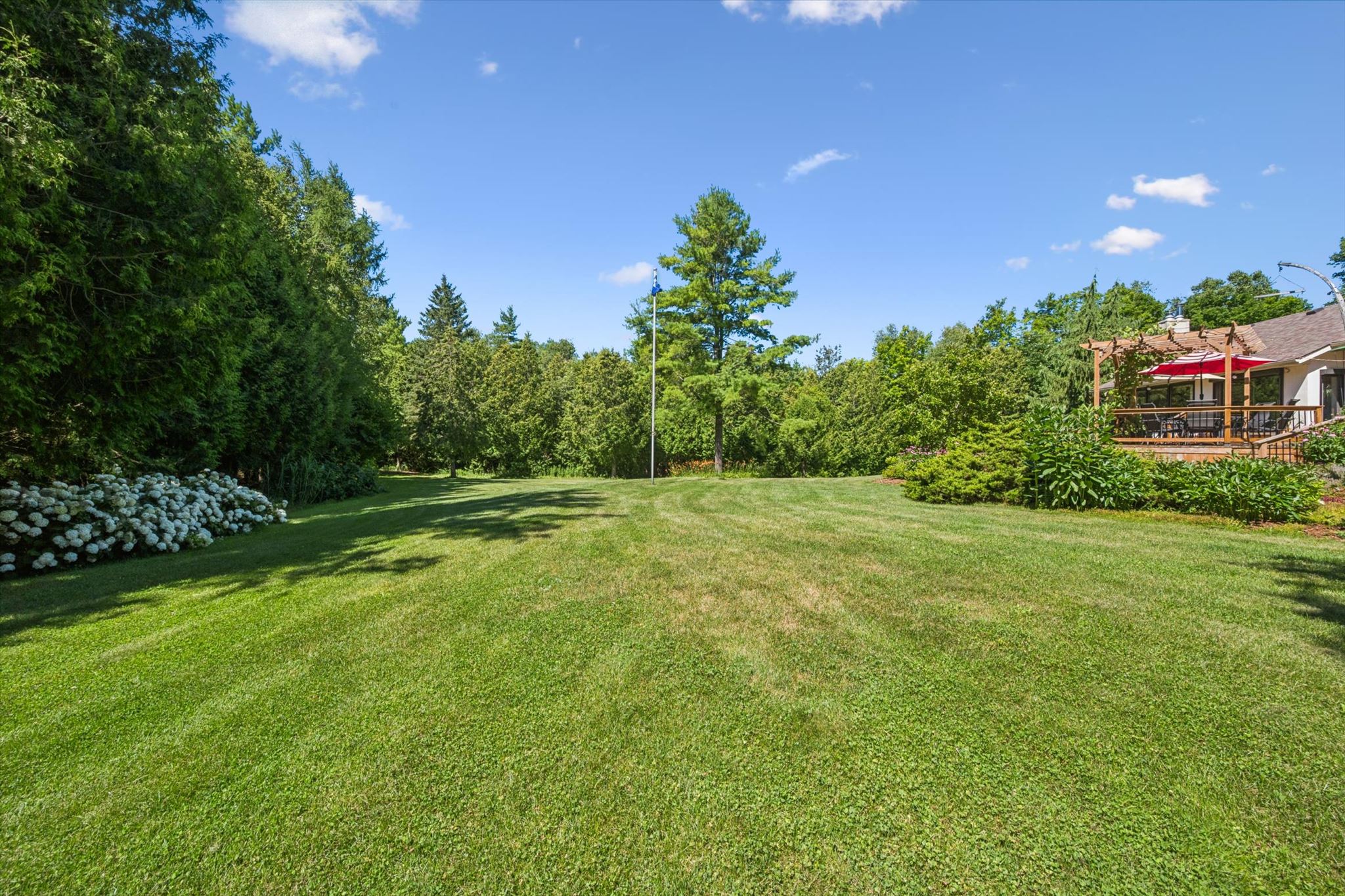 The house across the lawn