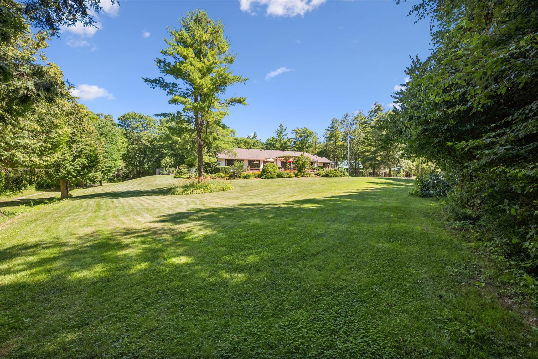 Open lawn sweeping toward the house