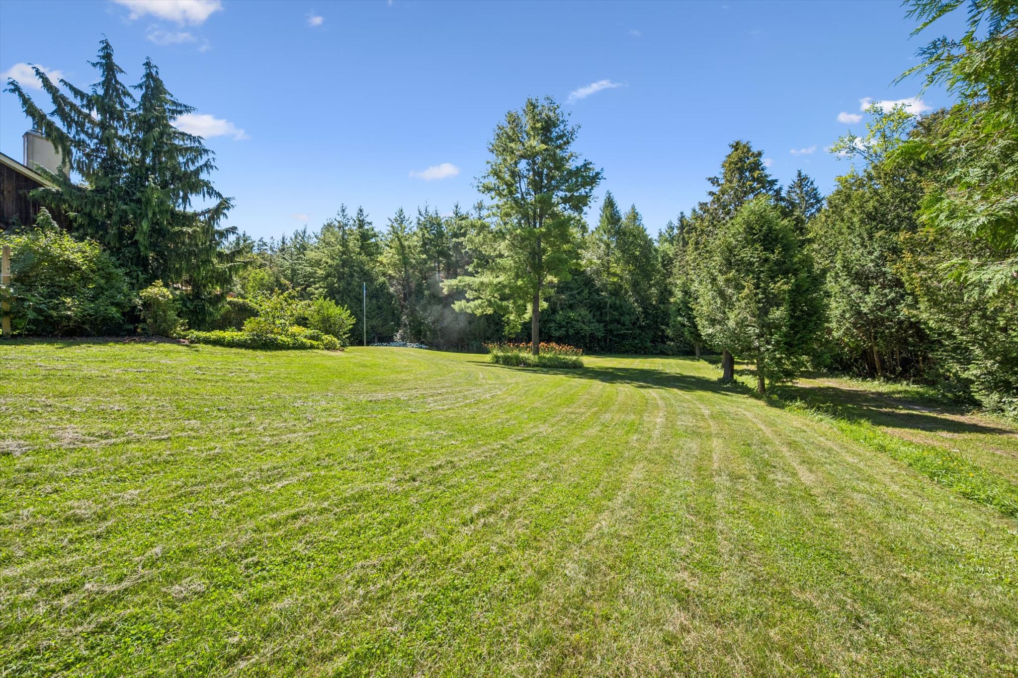 Mown lawn at the edge of the treeline