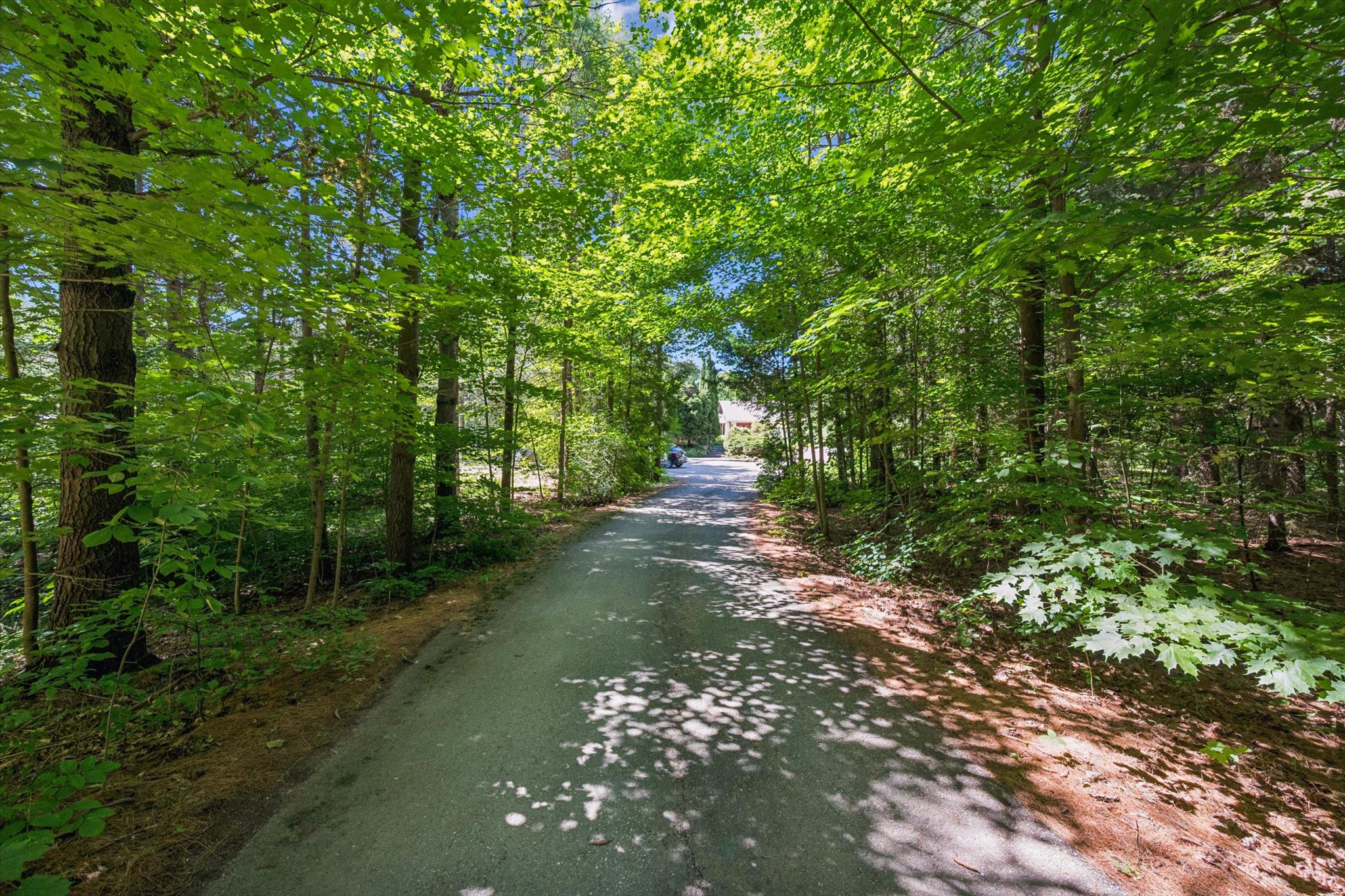 The last bend of the drive, the house ahead