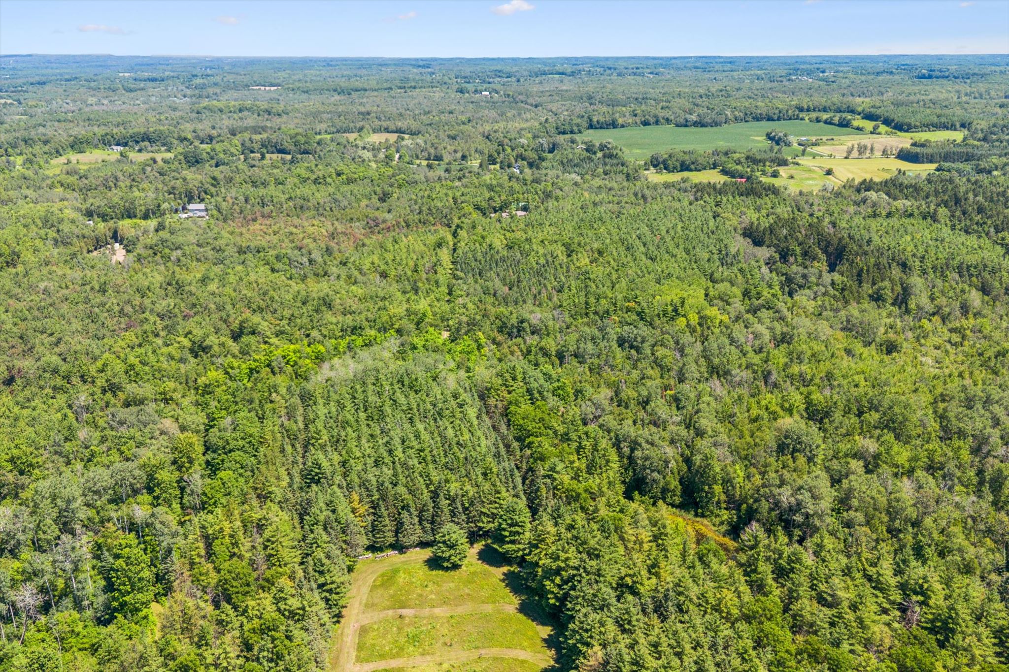 Ninety-two acres of woodland