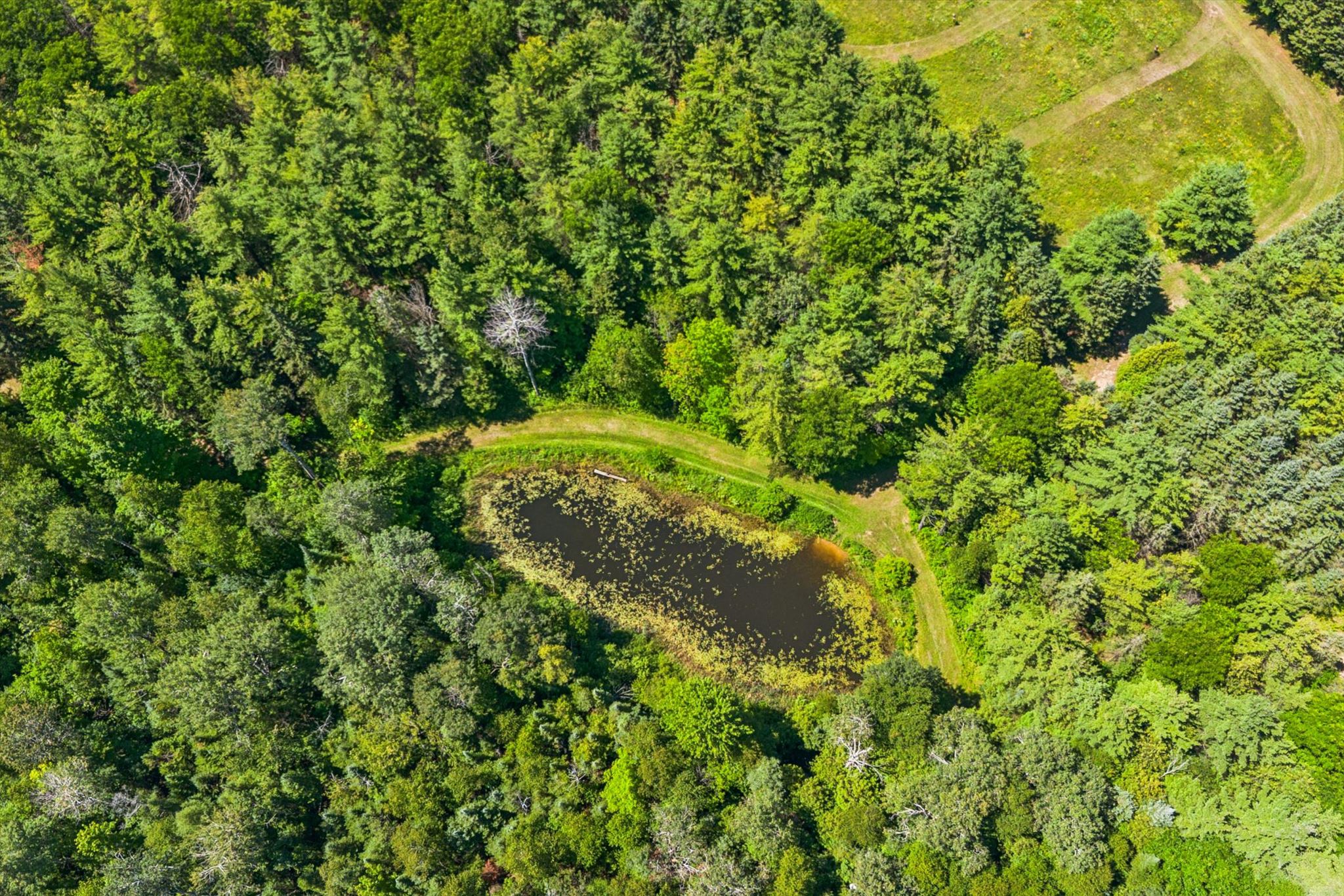 The wildlife pond from above, ringed by its mown trail